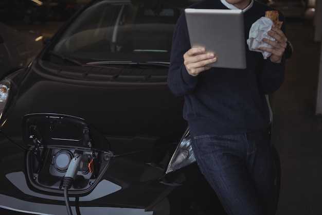 Совместимость генераторов с зарядными портами Tesla