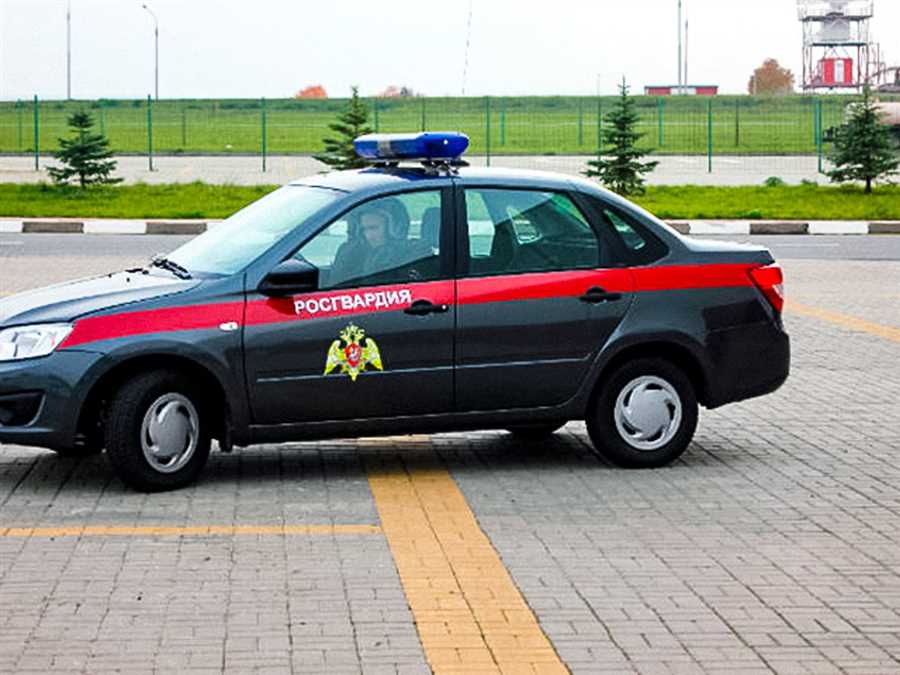 mozhet-li-rosgvardiya-ostanovit-mashinu