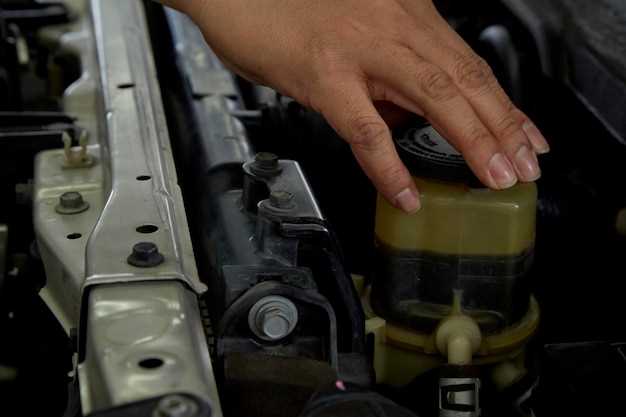 kak-pravilno-podklyuchit-gidromotor-na-gaz-3309-poshagovaya-instruktsiya-i