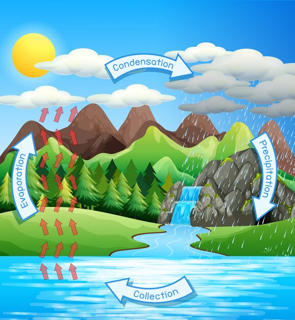 opisanie-reki-volgi-geografiya-dlya-8-klassa