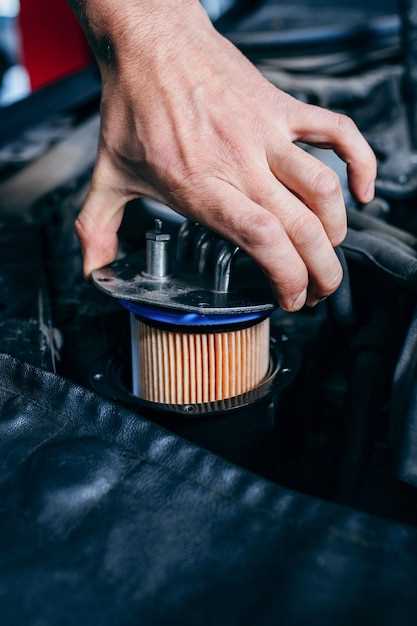 zamena-toplivnogo-filtra-na-gaz-31105-krajsler-polnoe-rukovodstvo